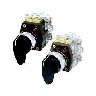 Hanyoung Cam Switch