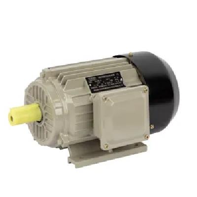 AC Blower Motor