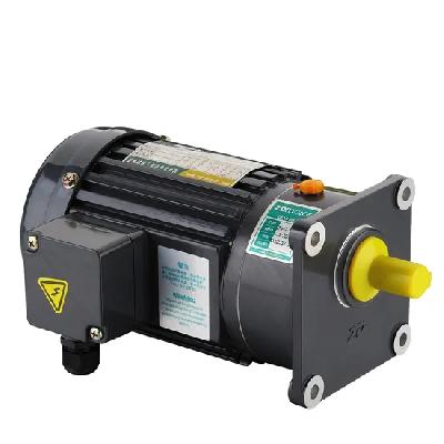 AC Foot Mounting  Motor