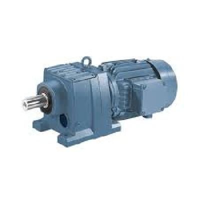 AC Heavy Inline Gear Motor