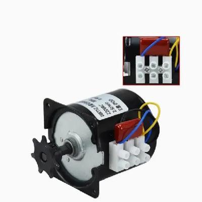 S60 AC Synchronous Slow Speed Motor