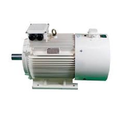 Three Phase Induction Motor, IP Rating: IP55