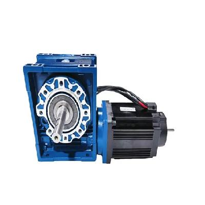 Worm Gear Motor