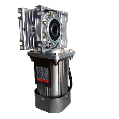 AC Worm Geared Motor