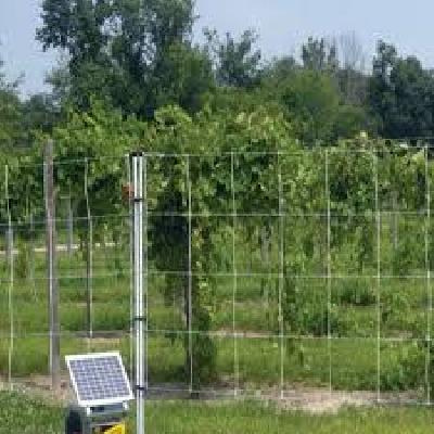 Agriculture Solar Fencing System
