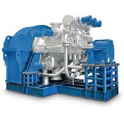Weg Electric Machinery Company Turbogenerator