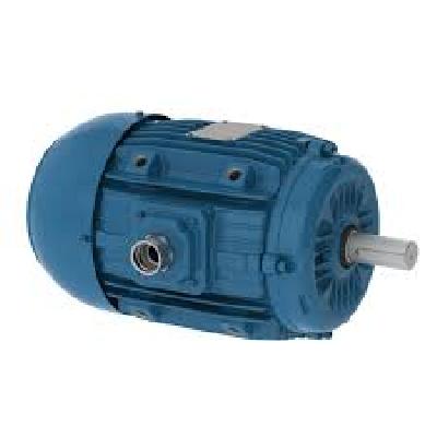 Weg W22 Fan And Exhaust Electric Motor