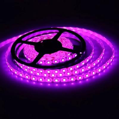 LED Lights