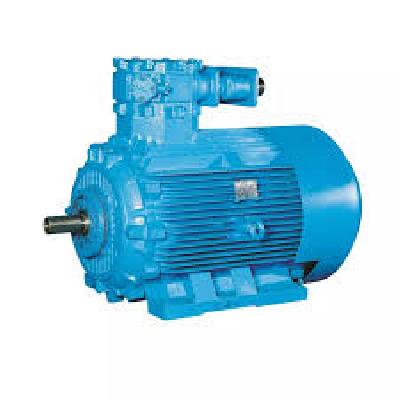 Flame Proof Motor