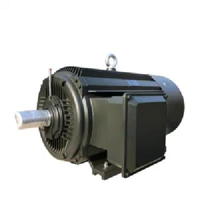Asynchronous Electric Motor