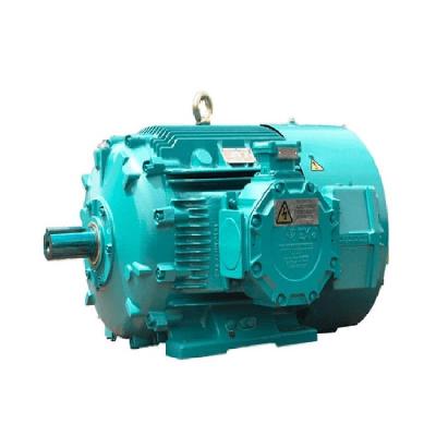Crompton Greaves Motor