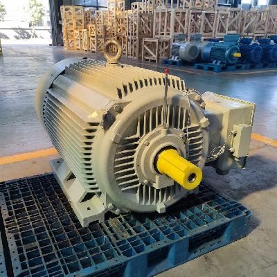 Electric Motor Repairing Service