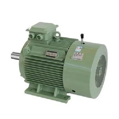 Siemens Electric Motors