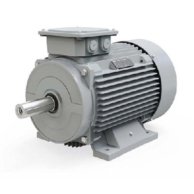 Three Phase Induction Motor