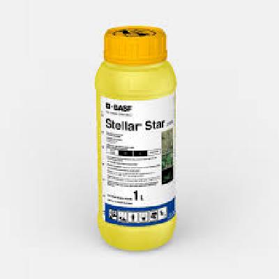 Startail Yellow