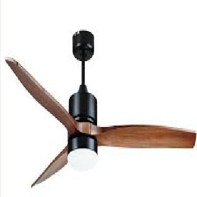 Ceiling Fan Blade