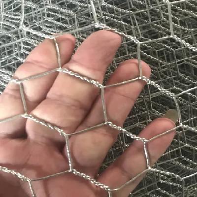 Stainless Steel Chicken Wire Mesh