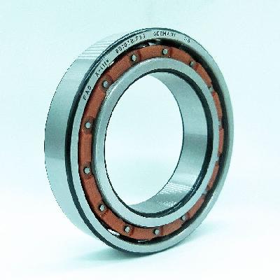 Super Precision Fiber Cage Bearings
