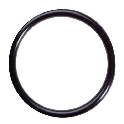 Neoprene Rubber O Ring