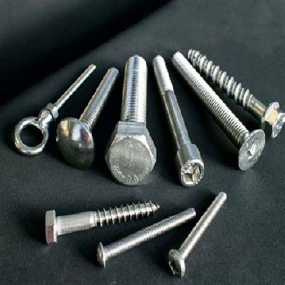 Stainless Steel Bolt