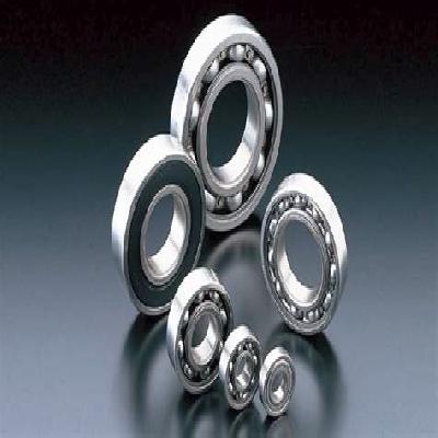 Stainless Steel Ball Bearing