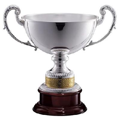 Trophy(Silver)