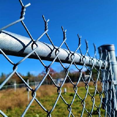 Chain Link