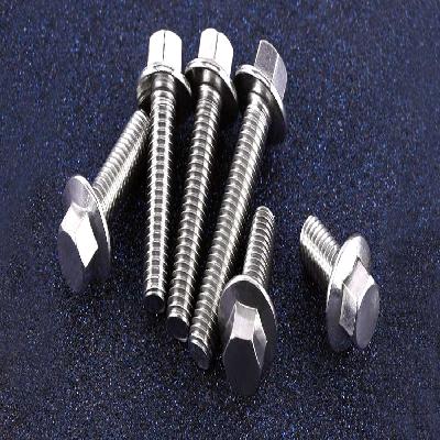 Stainless Steel Bolt