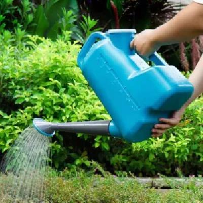 Gardening Premium Plastic Watering Can
