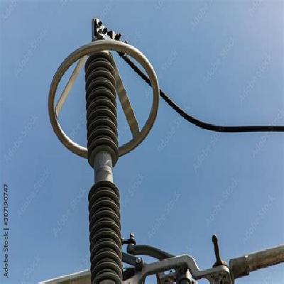 Insulator Corona Ring (RC 