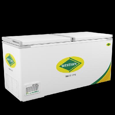 Western Deep Freezer