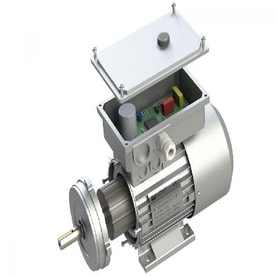 Motor With Built In Invertor