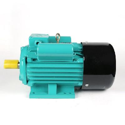 Single Phase Induction Motor Made In Italy Aluminium Body