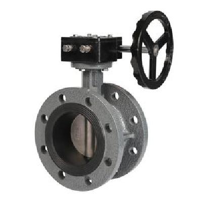 Butterfly Valve Repairing Service