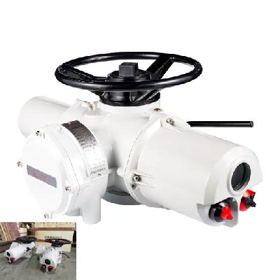 MOV Actuator Repairing Services