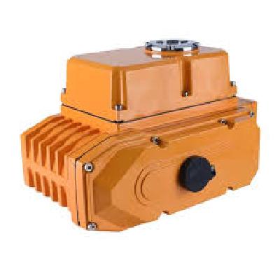 Single Phase Electrical Actuator