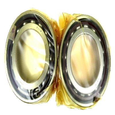 Precision Bearing Set