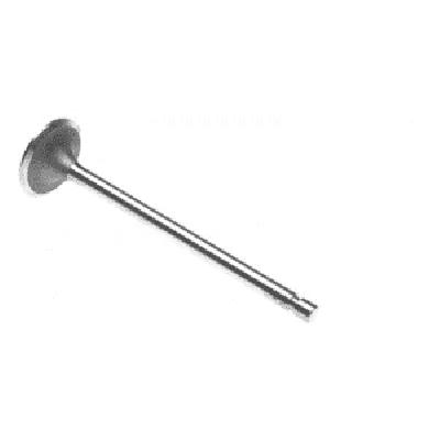 Cummins Exhaust Intake Valve