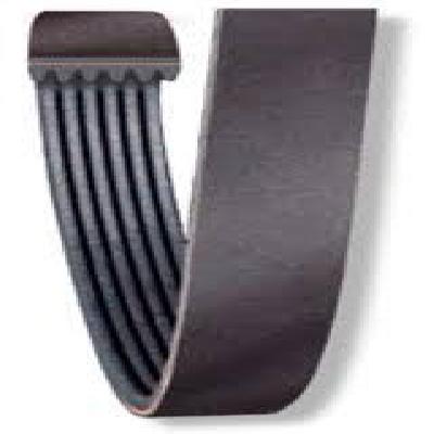 Cummins V BELT  RIBBED 205913
