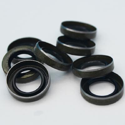 PT Fuel Pump NRV Coupling Seal Parts