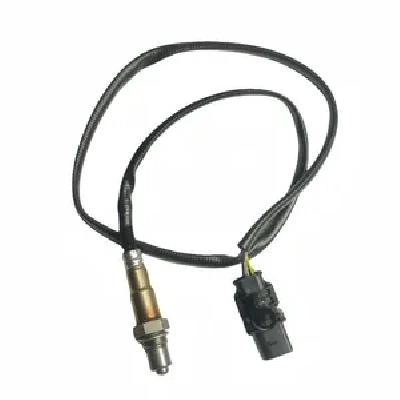 Oxygen Sensors