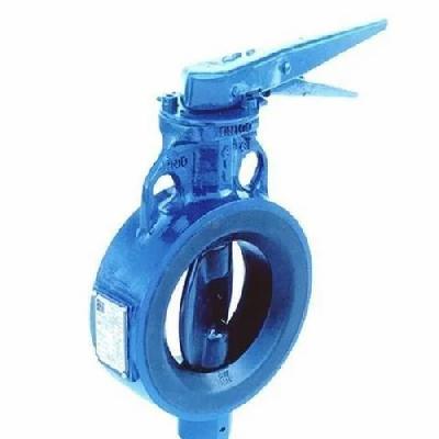 Audco Seamless Industrial Butterfly Valve
