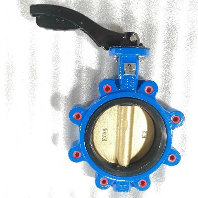 CG CI BUTTERFLY VALVE