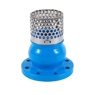 CI Foot Valve