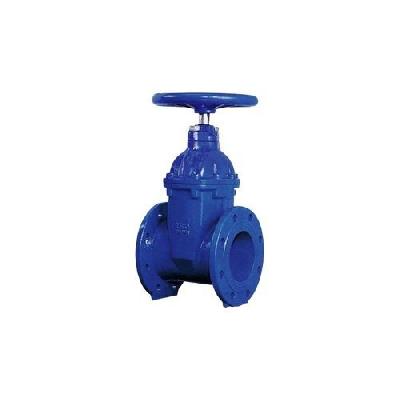 ISI Mark Zoloto Cast Iron Sluice Valve
