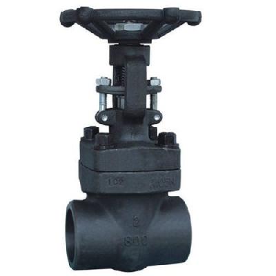 L and T Forged Globe Valve