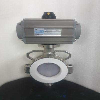 FEP Butterfly Valve