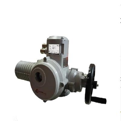 Single Phase Electrical Actuator