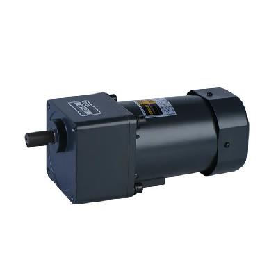 AC Geared Synchronous Motors