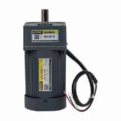 Bi- Directional Synchronous Motors